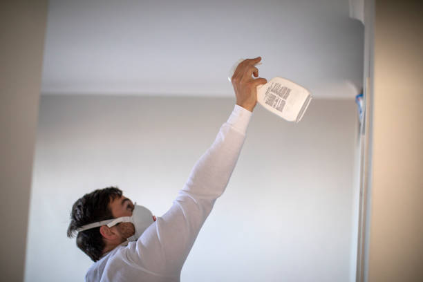 Best Crawl Space Mold Removal  in Stevenson, AL