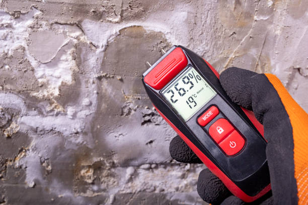Best Commercial Mold Removal  in Stevenson, AL
