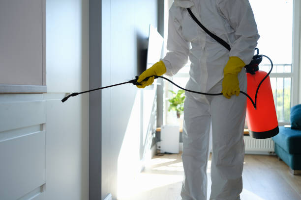 Certified Mold Removal in Stevenson, AL