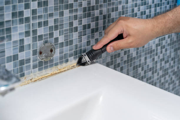 Best Mold Removal Company Near Me  in Stevenson, AL